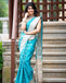 Rich Pallu and Jequard Work Saree 093